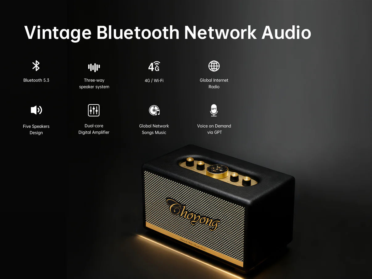 Choyong C2 Speaker - Vintage Bluetooth Network Audio
