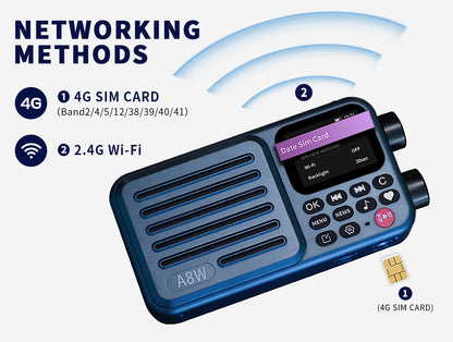 A8W Smart Internet & FM Pocket Radio