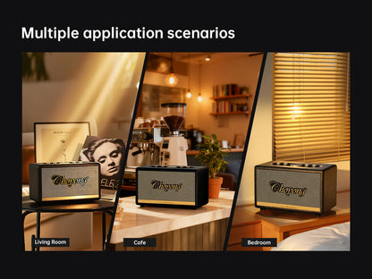 Choyong C2 Speaker - Vintage Bluetooth Network Audio