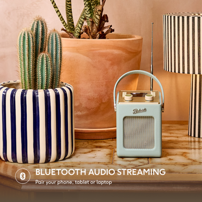 Roberts Revival Mini 2